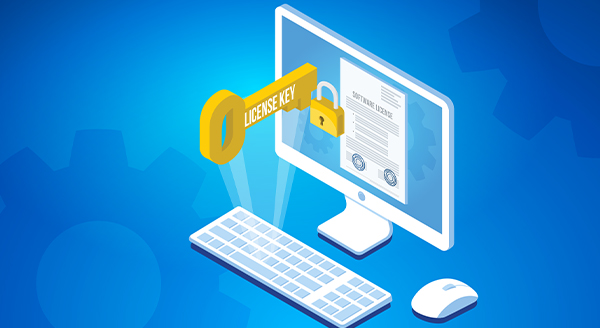 Software Licenses